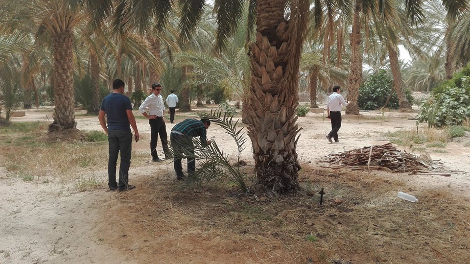 visite-d-experts-de-la-giz